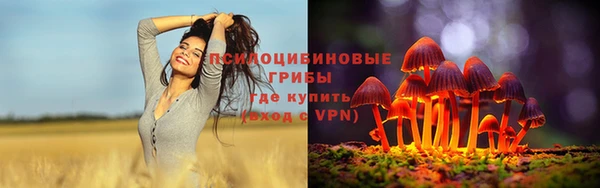 mdma Вяземский
