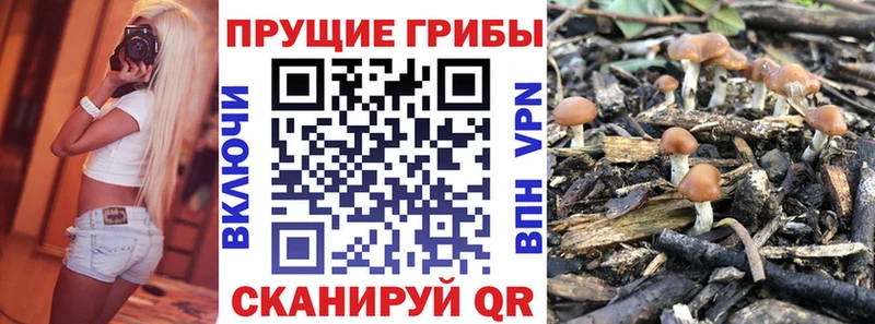 ссылка на мегу рабочий сайт  Кадников  Псилоцибиновые грибы Cubensis  закладка 