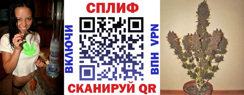 Шишки марихуана конопля  магазин продажи наркотиков  blacksprut ссылки  Кадников 